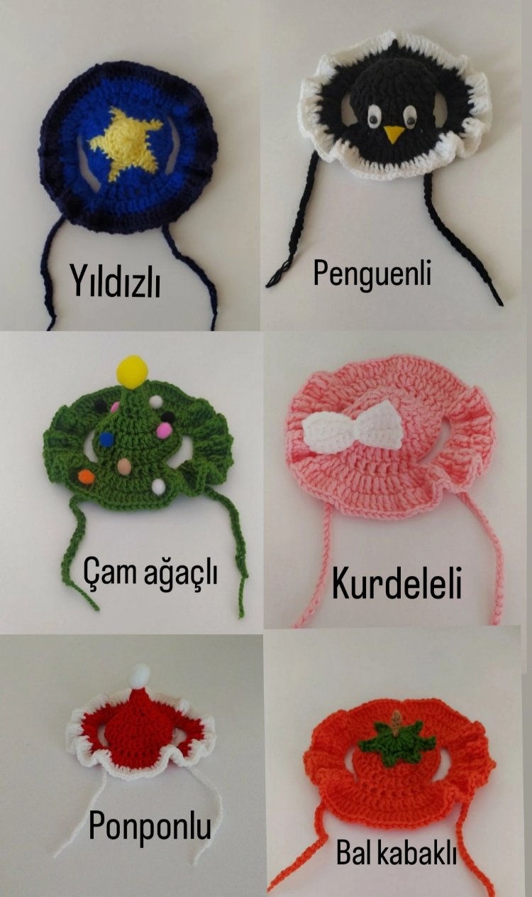 kedi şapkası 