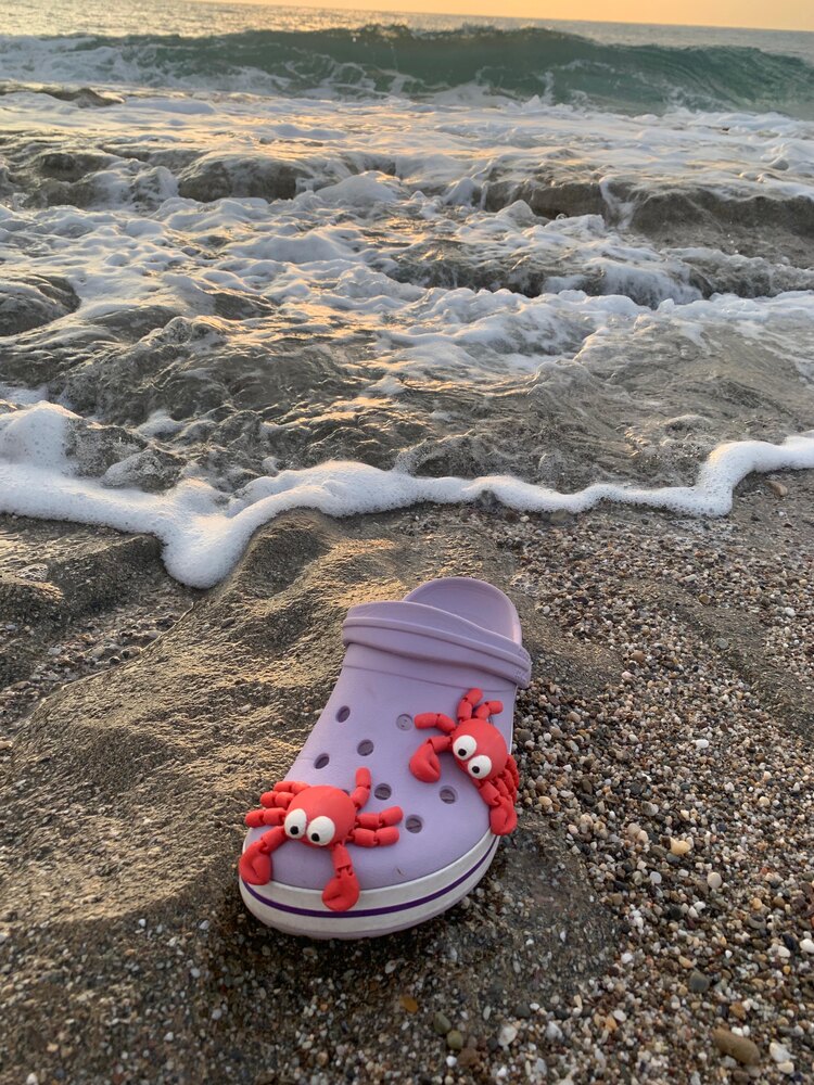 Yengeç crocs tokası