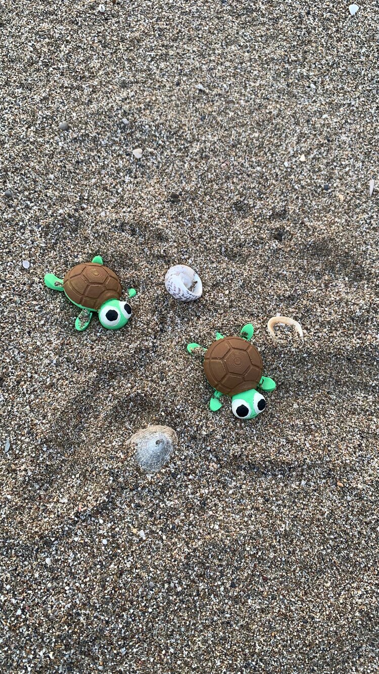 Kaplumbağa crocs tokası
