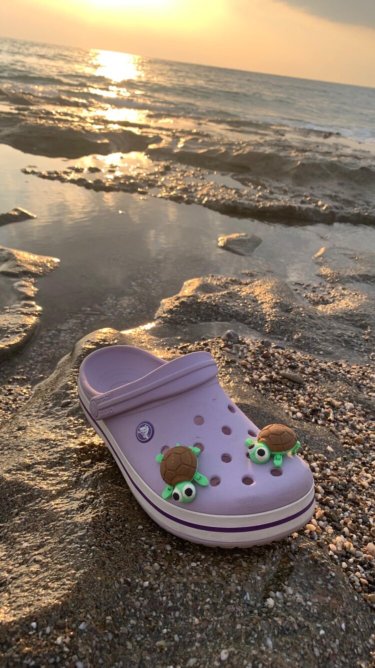 Kaplumbağa crocs tokası