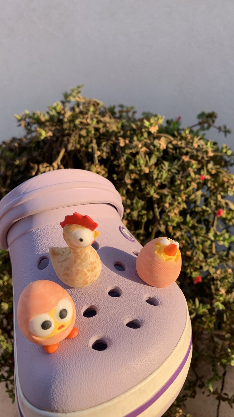 Serbest gezen tavuk crocs tokası