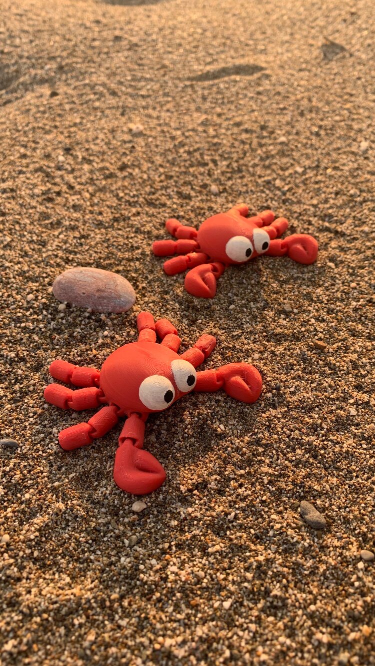 Yengeç crocs tokası