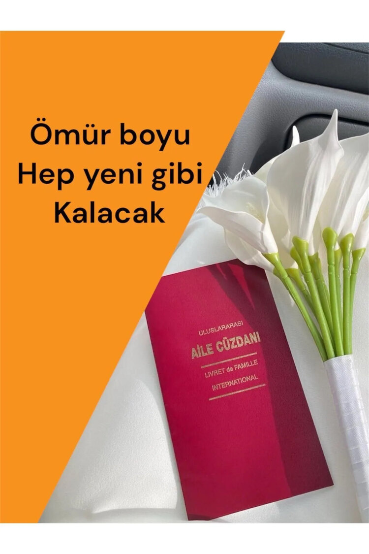Şeffaf Uluslararası Aile Cüzdanı Kılıfı Dayanıklı Evlinderme Cüzdanı Kılıfı
