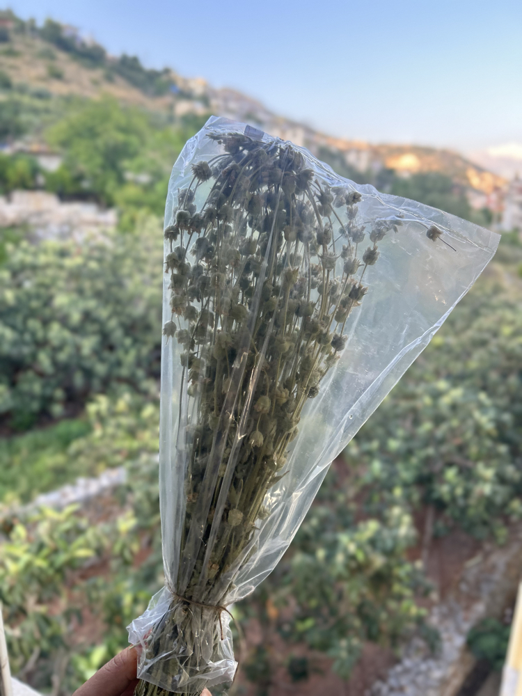 Yayla adaçayı 