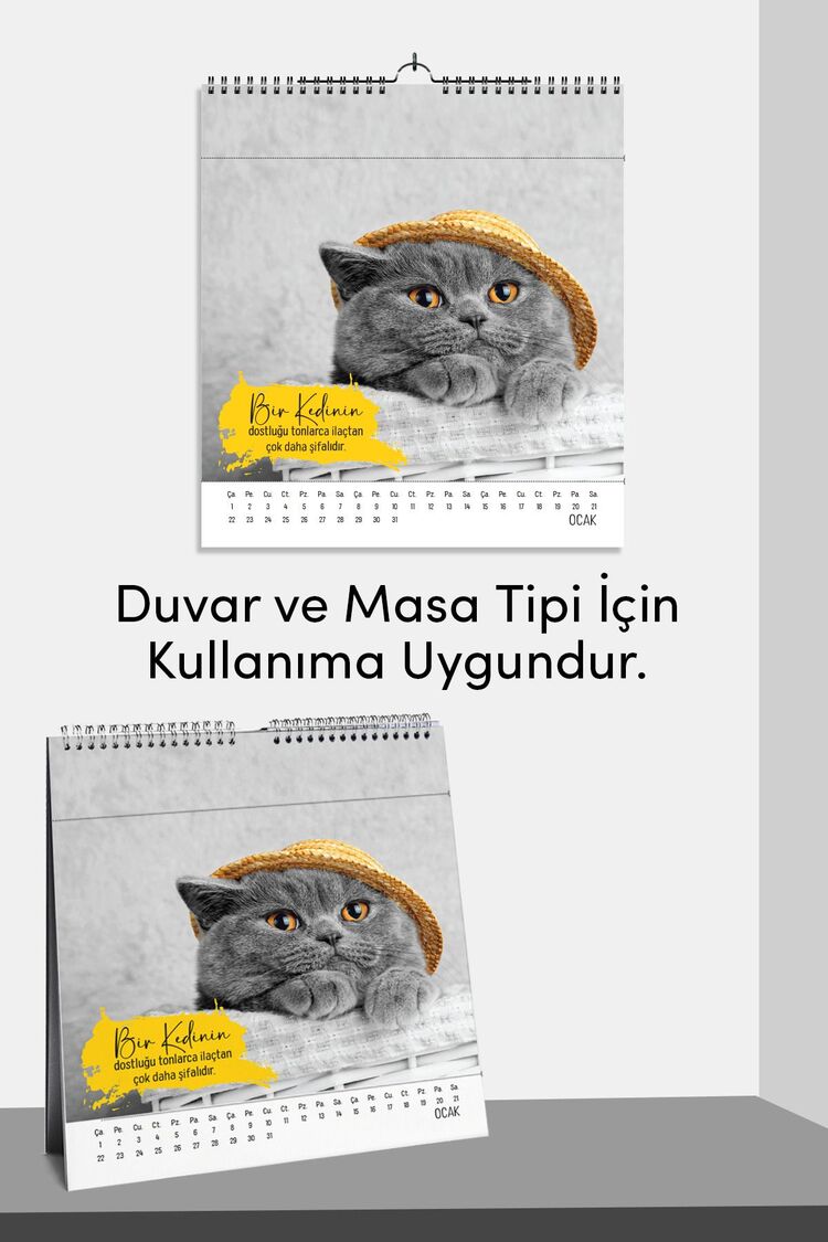 2025 Yeni Yıl Kedi Severler Takvimi - Masa ve Duvar Tipi, Hayvan Sever Takvimi