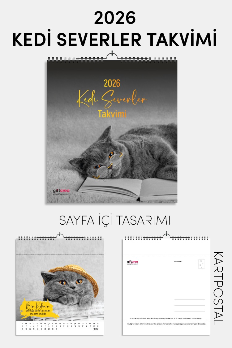 2025 Yeni Yıl Kedi Severler Takvimi - Masa ve Duvar Tipi, Hayvan Sever Takvimi
