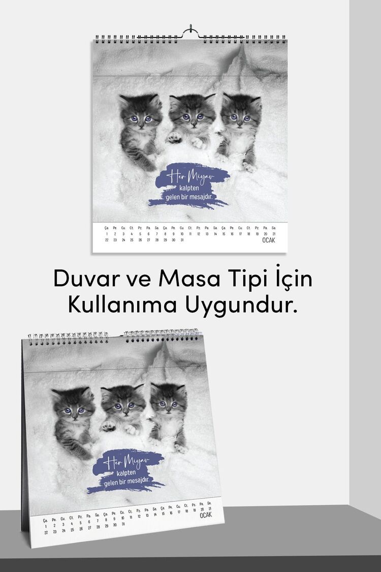 2025 Yeni Yıl Kedi Severler Takvimi - Masa ve Duvar Tipi, Hayvan Sever Takvimi