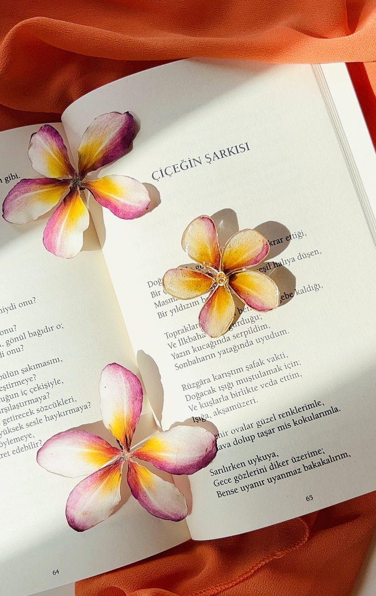 Minik Plumeria Broş