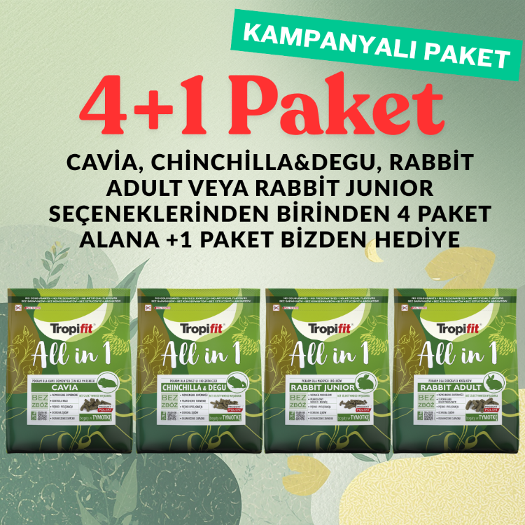 4 Al 1 Hediye Kampanyası!