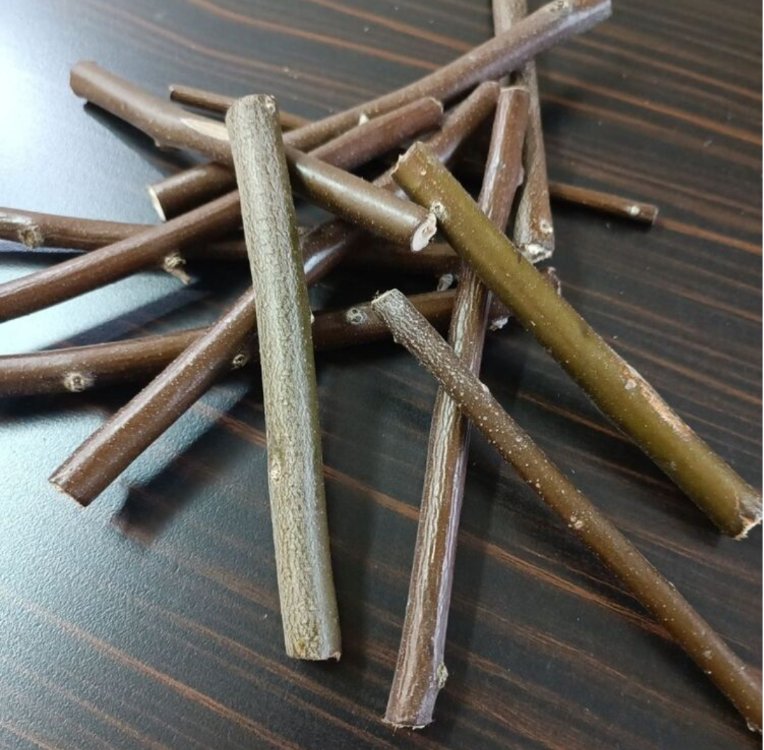 Ginepig Paşa 2000 Gram Çayır Otu Paketi +HEDİYENİ SEN SEÇ