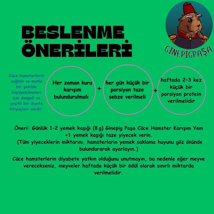 Cüce Hamster Karışım Yemi (Ginepig Paşa Özel Formülü)