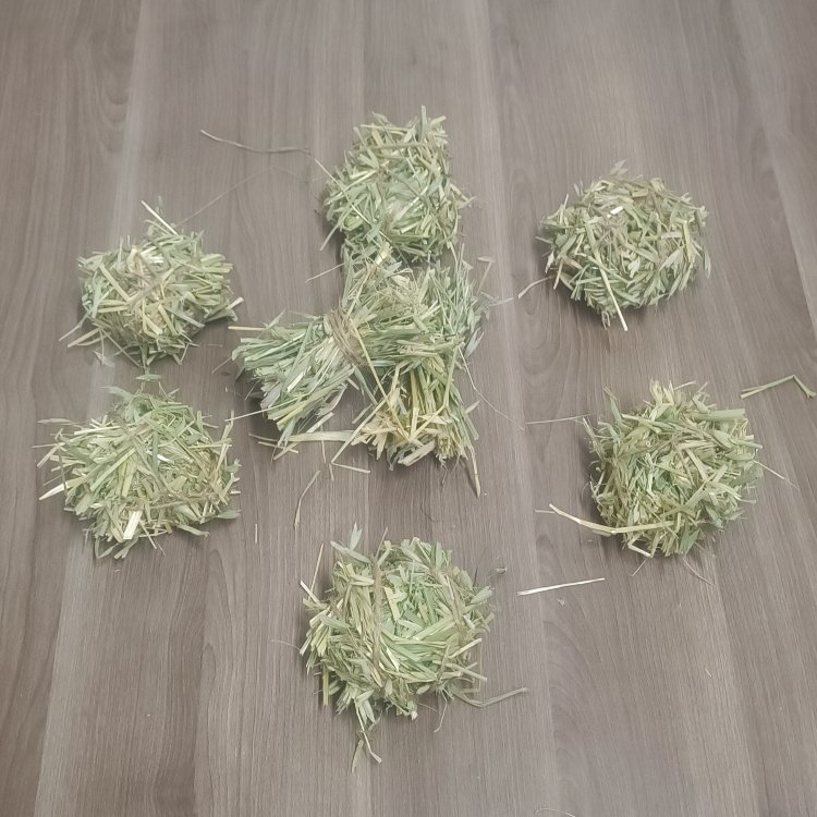 Kemirgen Şöleni - Yulaf Samanı