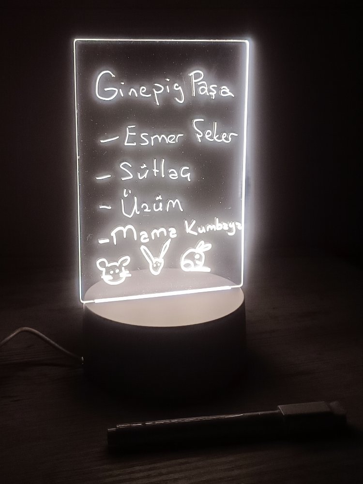 LED Yaşam Alanı Gece Lambası 