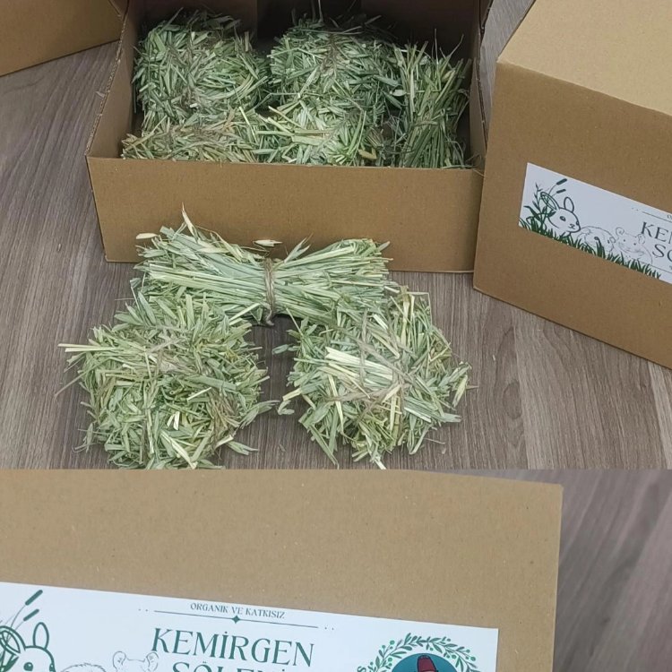 Kemirgen Şöleni - Yulaf Samanı