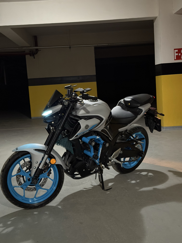 YAMAHA MT-25 6’lı ÖN KORUMA DEMİRİ ICE STORM