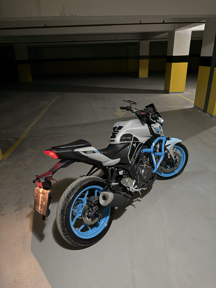 YAMAHA MT-25 6’lı ÖN KORUMA DEMİRİ ICE STORM