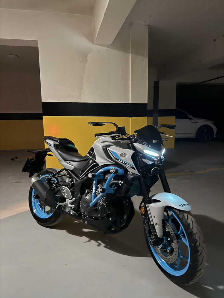 YAMAHA MT-25 6’lı ÖN KORUMA DEMİRİ ICE STORM