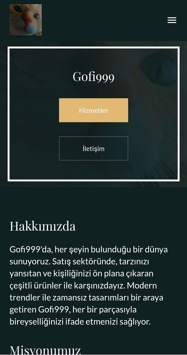 Yapay Zeka İle Site Yapımı 