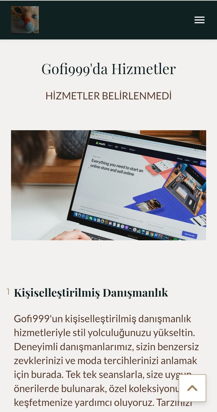 Yapay Zeka İle Site Yapımı 