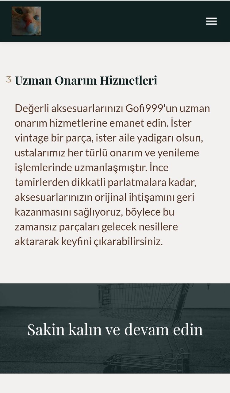 Yapay Zeka İle Site Yapımı 