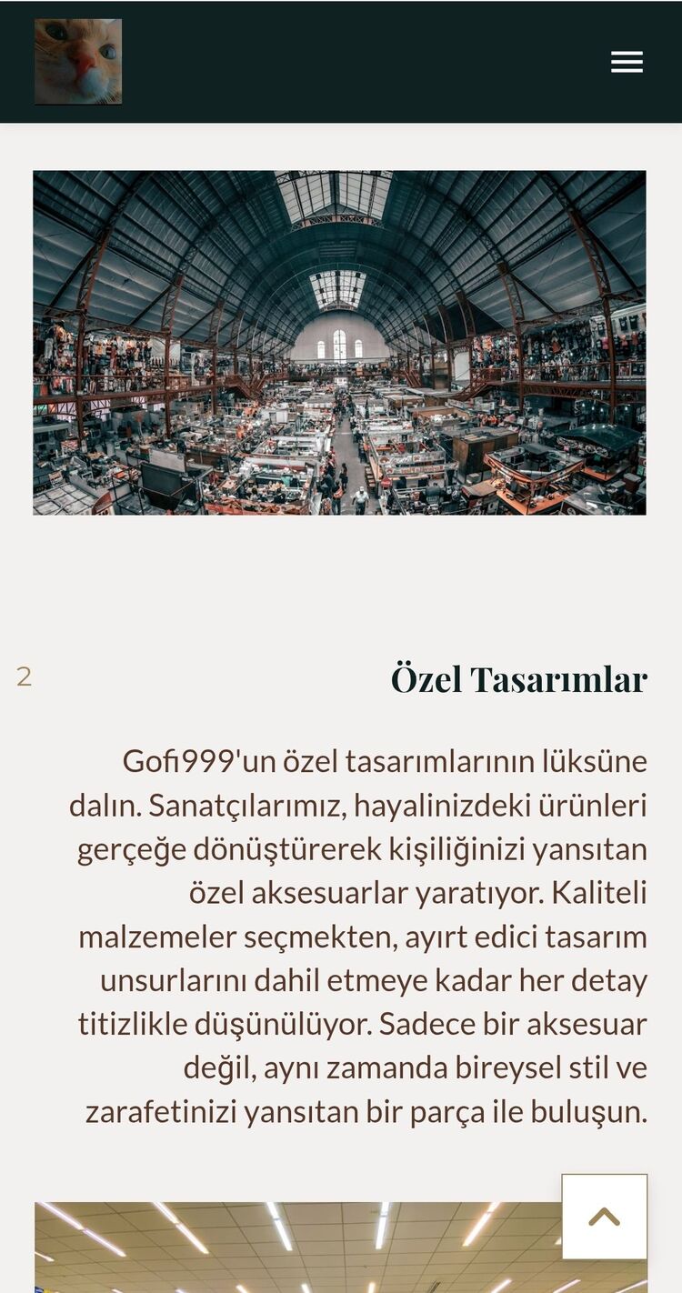 Yapay Zeka İle Site Yapımı 