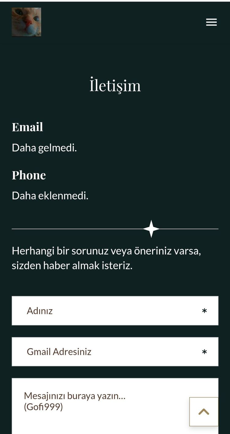 Yapay Zeka İle Site Yapımı 