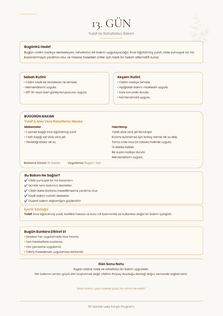 30 Günlük Leke Karşıtı Cilt Bakım Rehberi (PDF)