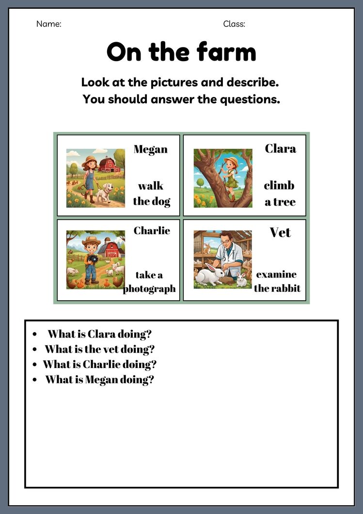 DESCRIBING PICTURES
