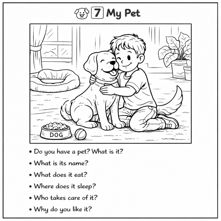 WH QUESTIONS BUNDLE