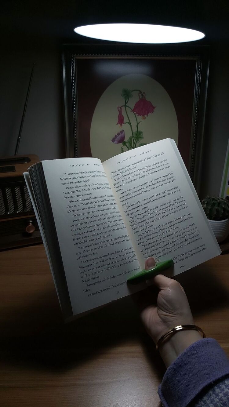 Kitap Kuşu