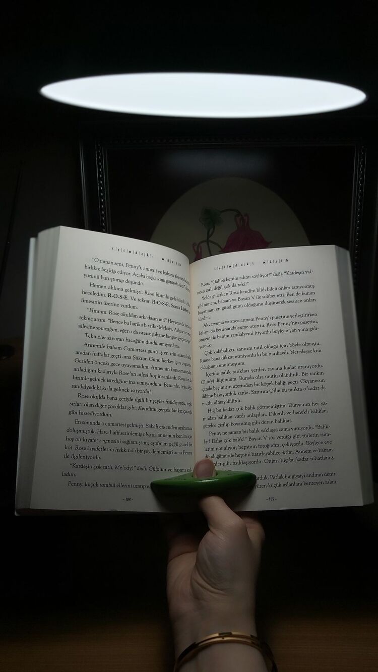 Kitap Kuşu