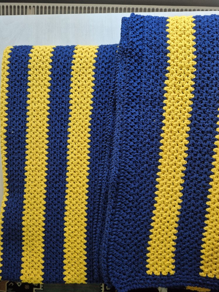 Fenerbahçe Battaniye