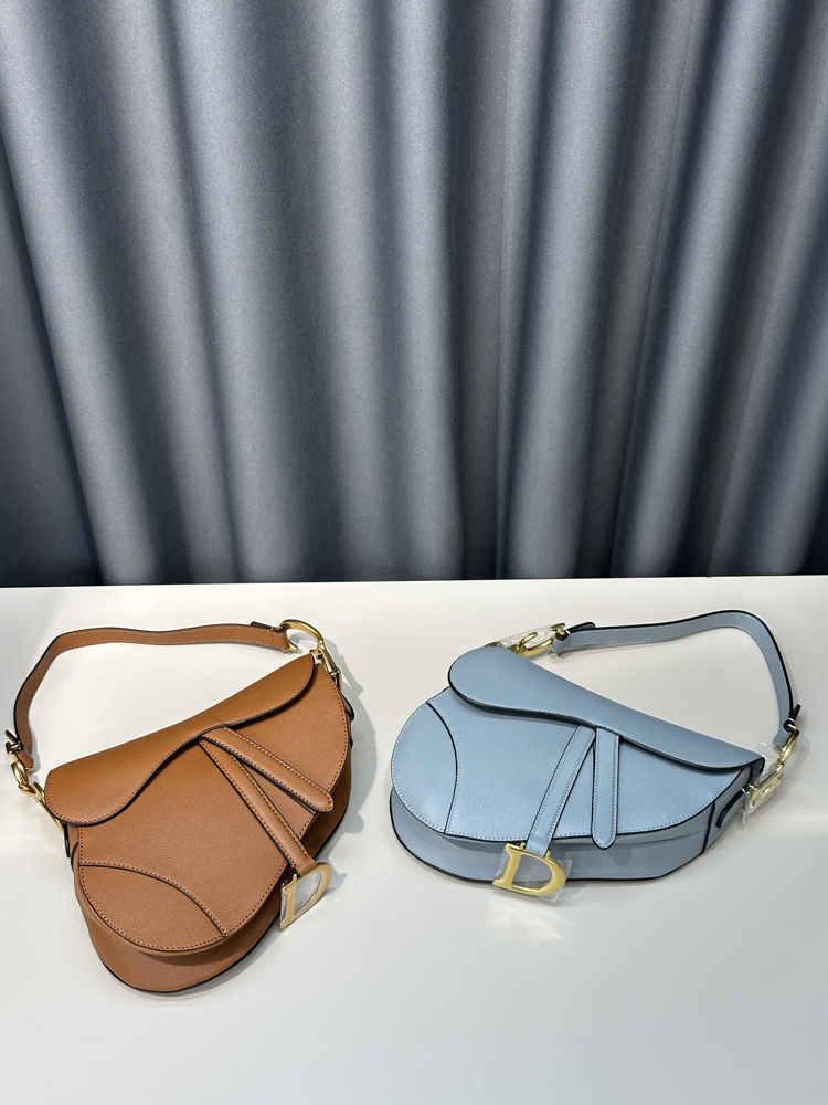 Dior Saddle Bag 
