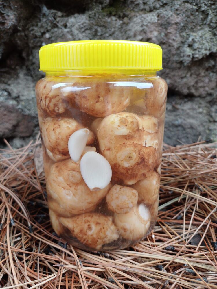 Çubuk Yer Elması Turşusu 1 Litre