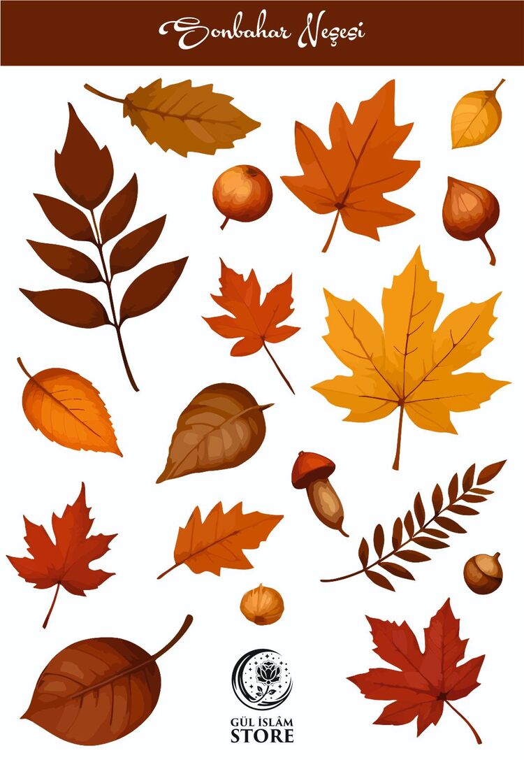 Sonbahar Neşesi - Sticker - 