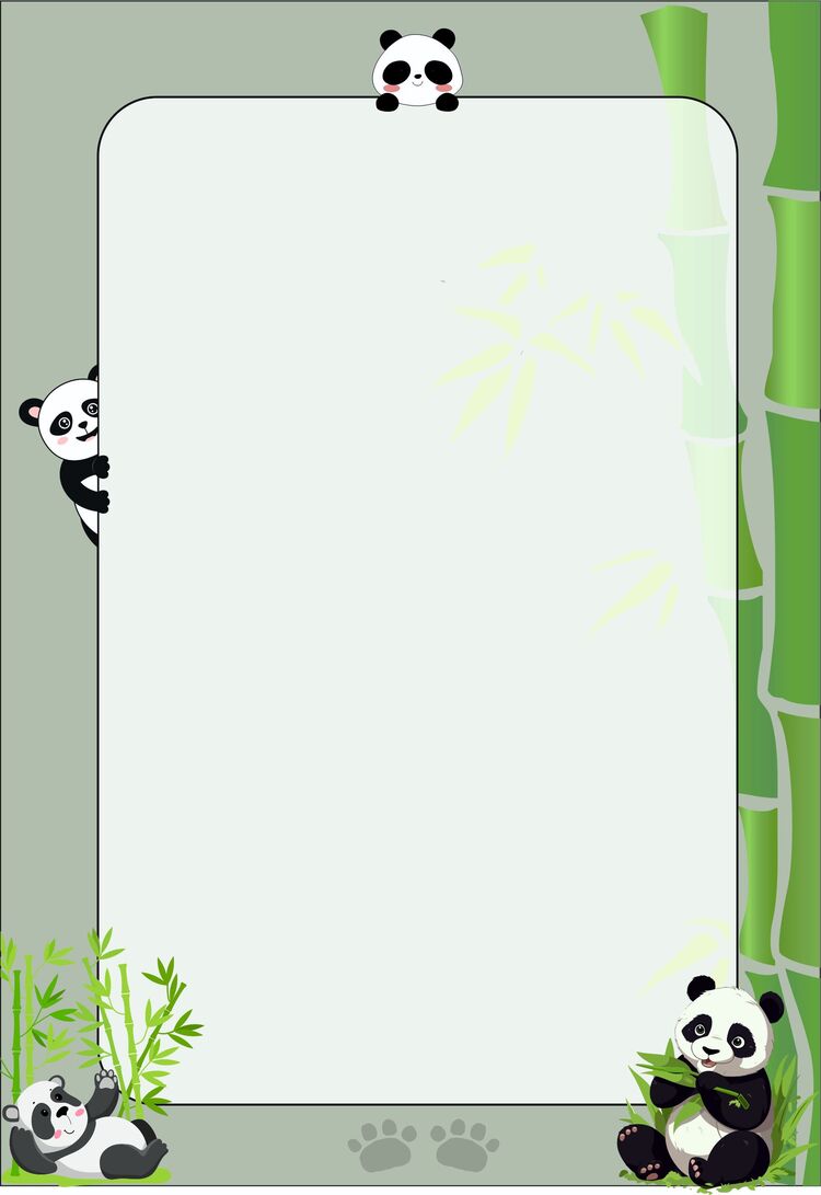 A5 Panda Bloknot 