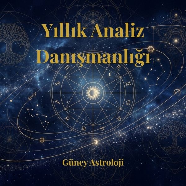 Yıllık Analiz Danışmanlığı