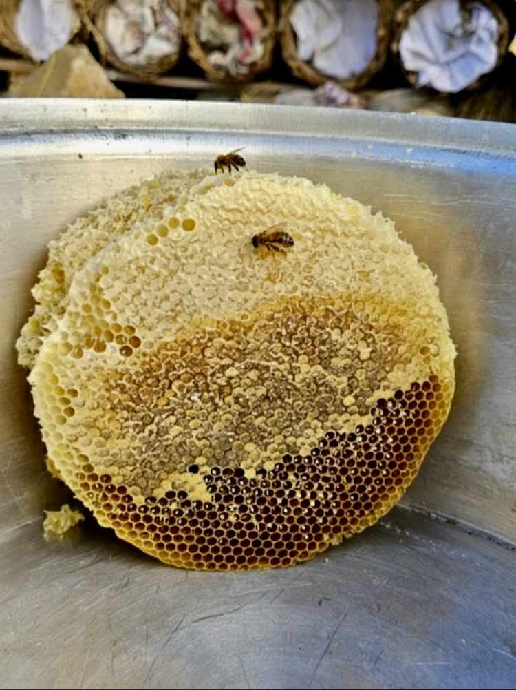 (1 kg) ÖRME SEPET KARAKOVAN BALI 