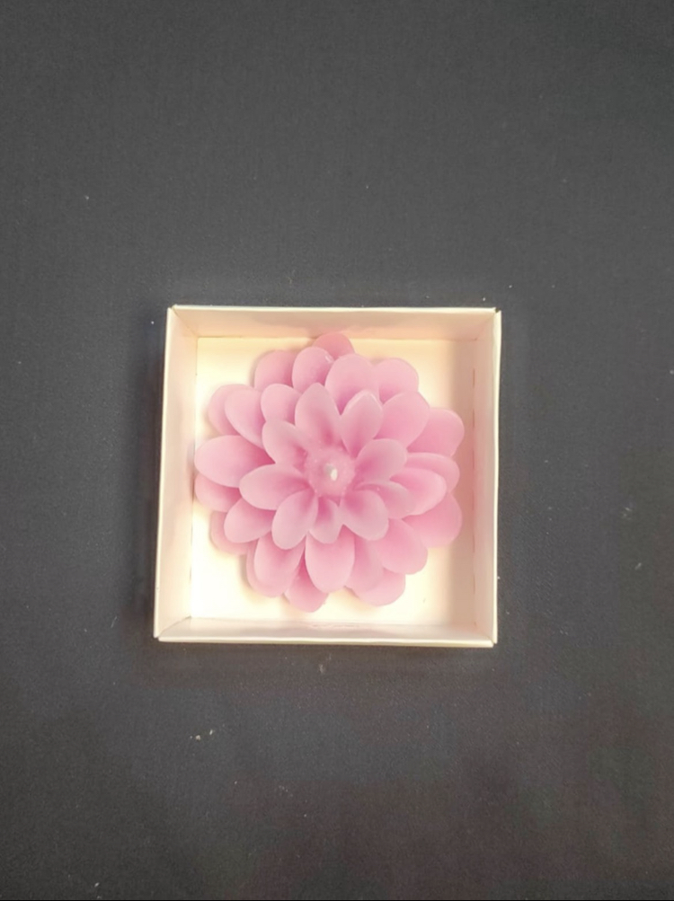 Lotus mum (25’li)