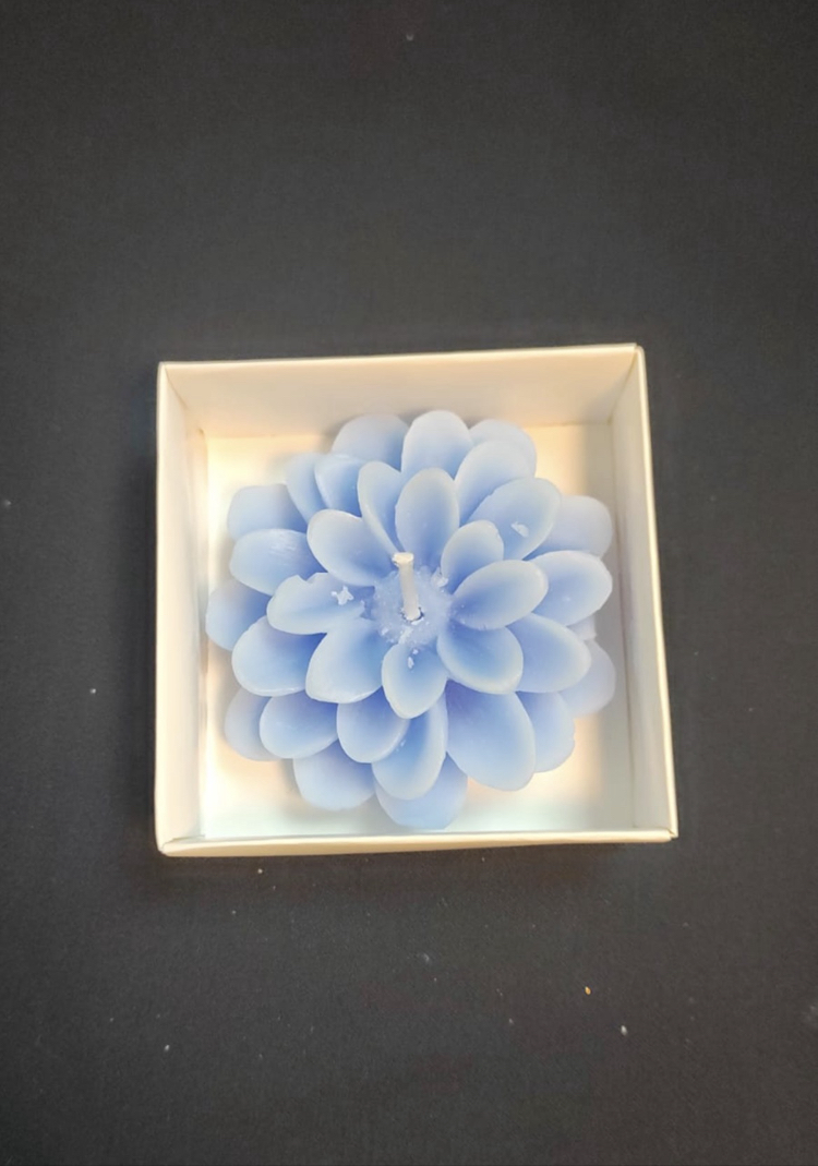 Lotus mum (25’li)