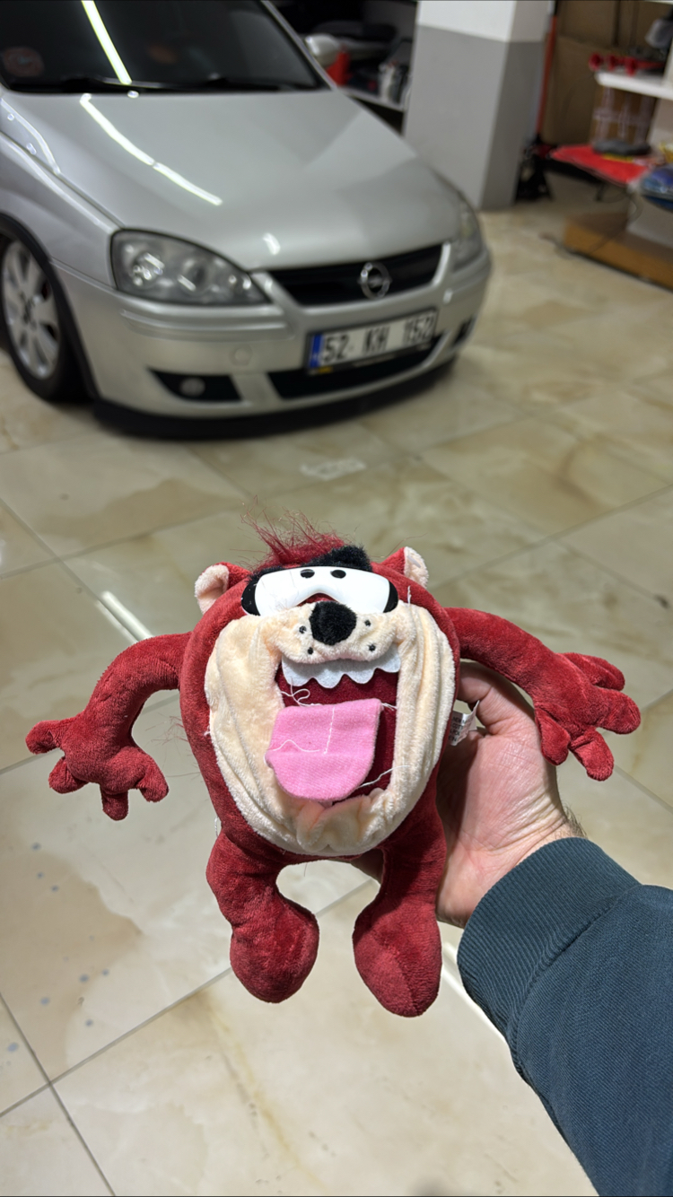 Taz süs 