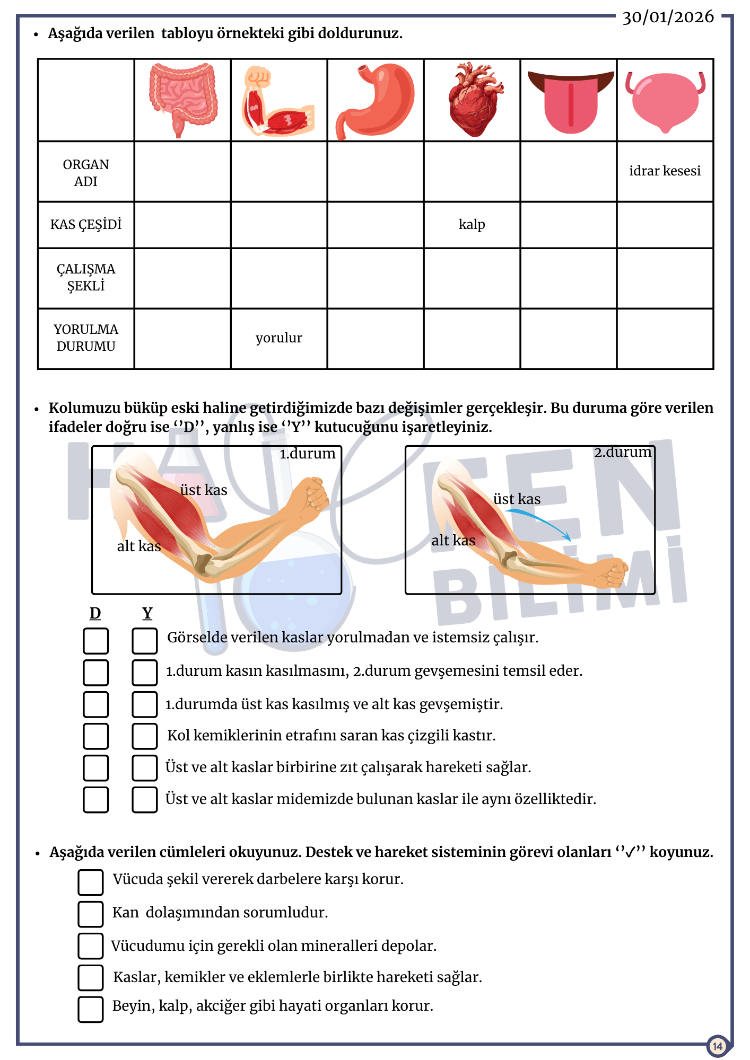 5.SINIF ARA TATİL TEKRAR 