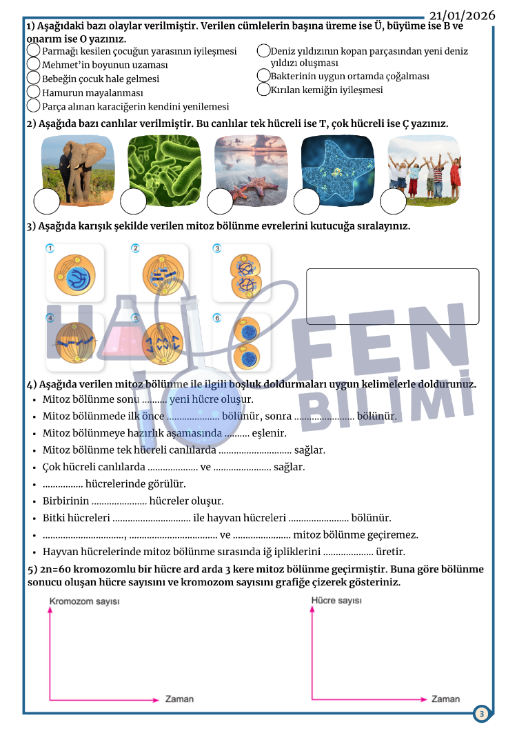 7.SINIF ARA TATİL TEKRAR 