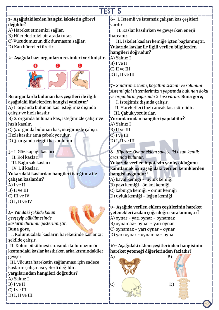 5.SINIF 3.ÜNİTE FASİKÜLÜ