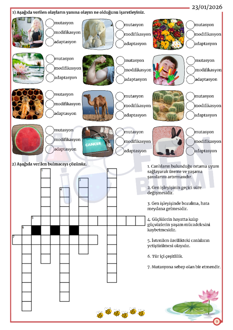 8.SINIF ARA TATİL TEKRAR 