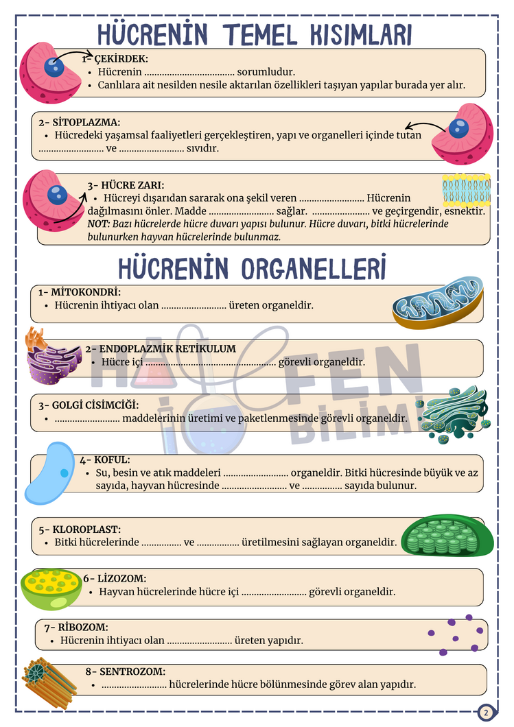 5.SINIF 3.ÜNİTE FASİKÜLÜ