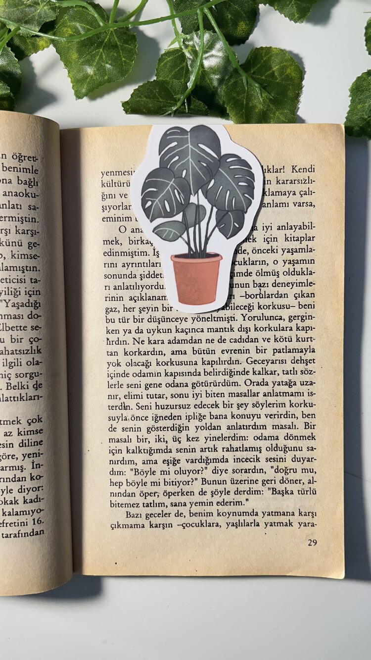 Saksıda deve tabanı mıknatıslı kitap ayracı