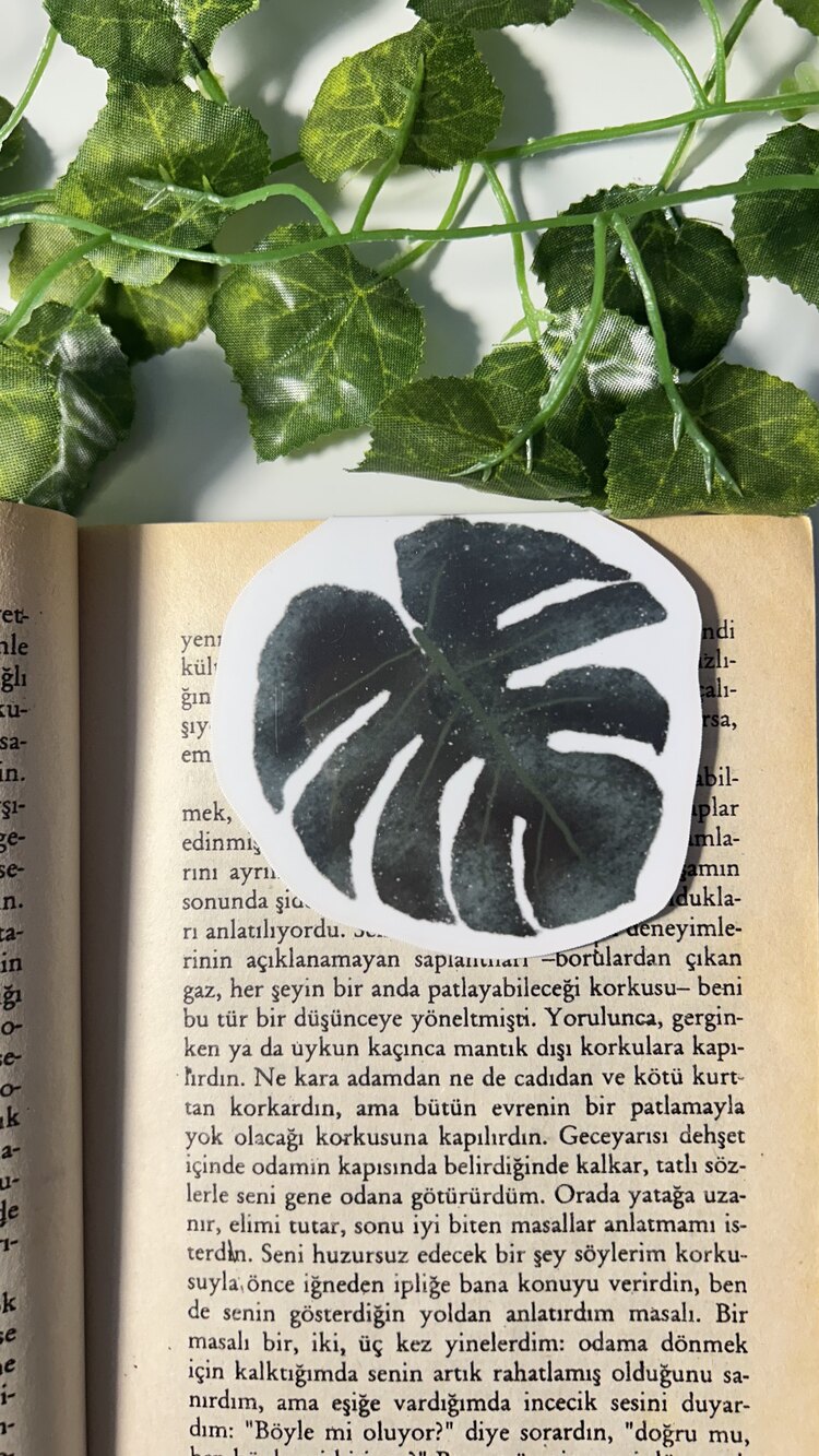 Deve tabanı mıknatıslı kitap ayracı