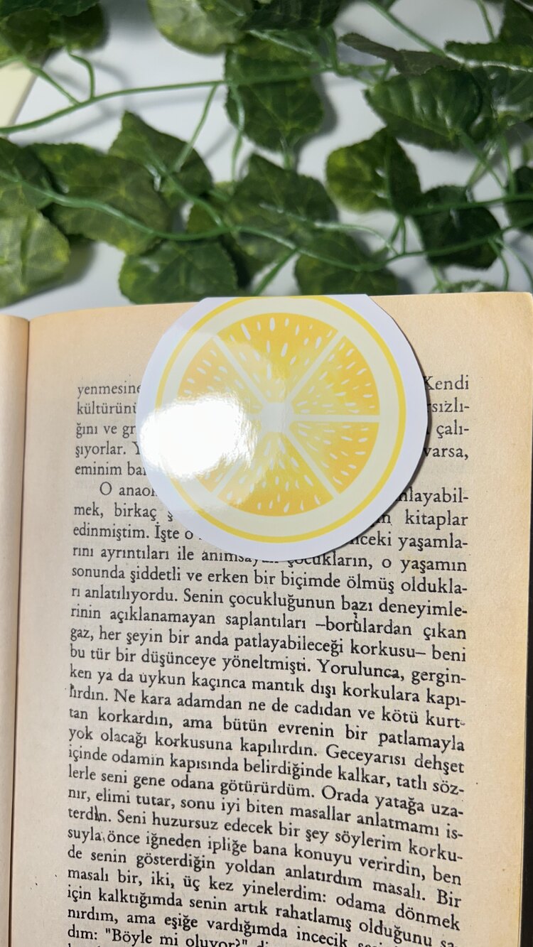 Yaz temalı 4'lü çoklu mıknatıslı kitap ayracı seti