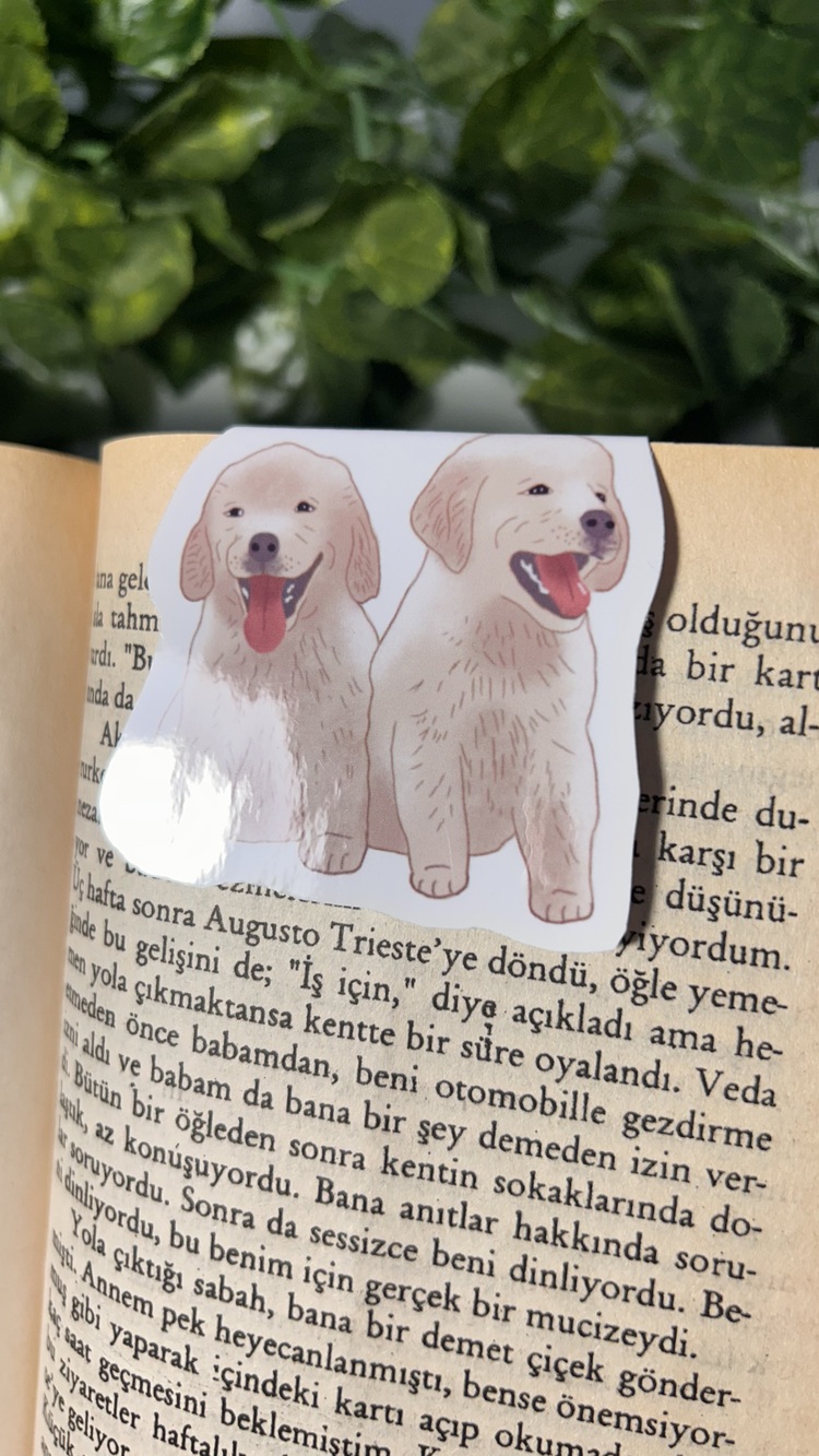 4'lü hayvan temalı mıknatıslı kitap ayracı